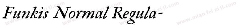 Funkis Normal Regula字体转换